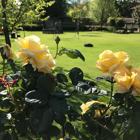 Penzion El Remanso De Trivieco 3*