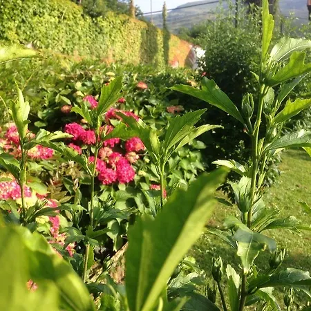 El Remanso De Trivieco Penzion