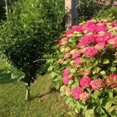 El Remanso De Trivieco