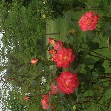 Penzion El Remanso De Trivieco La Cavada