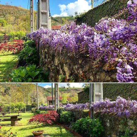 El Remanso De Trivieco 3* La Cavada