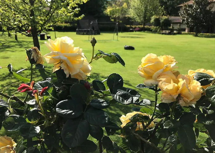 게스트하우스 El Remanso De Trivieco 3*