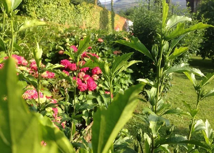 El Remanso De Trivieco 게스트하우스