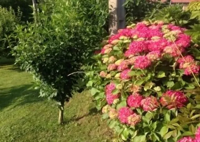 El Remanso De Trivieco