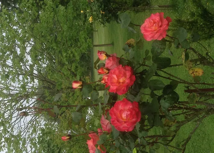 게스트하우스 El Remanso De Trivieco La Cavada