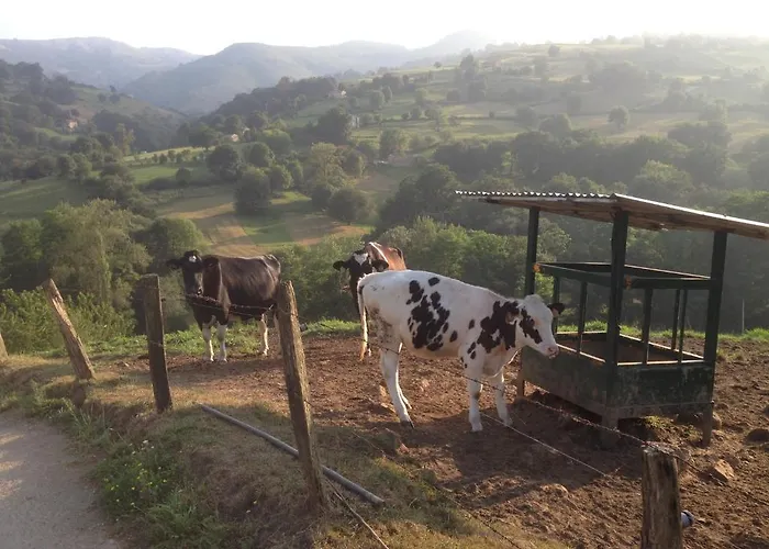 El Remanso De Trivieco